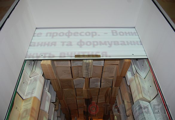 «Кибература»: одесситка превратила старые книги в арт-объекты 