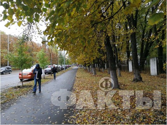 У листопаді на українців чекають морози та мокрий сніг: став відомий останній прогноз народного синоптика Леоніда Горбаня