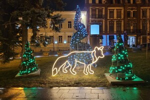 Новогодний лес и огромный подарок: праздничные фотозоны в центре Одессы 