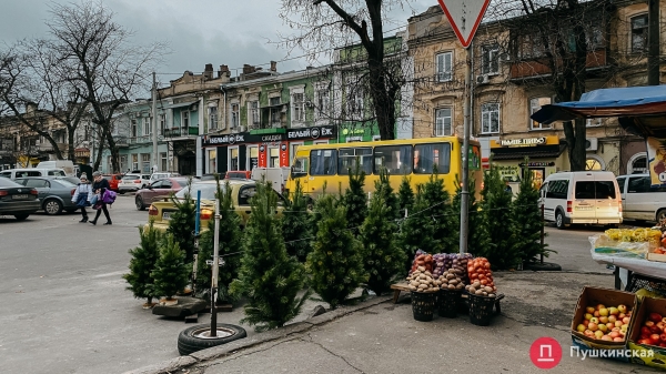 Где купить елку в Одессе: цена и ассортимент на елочном базаре у Нового рынка. Фото
