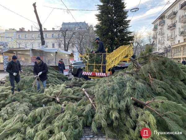 На Дерибасовской устанавливают елку: как это происходит. Фото