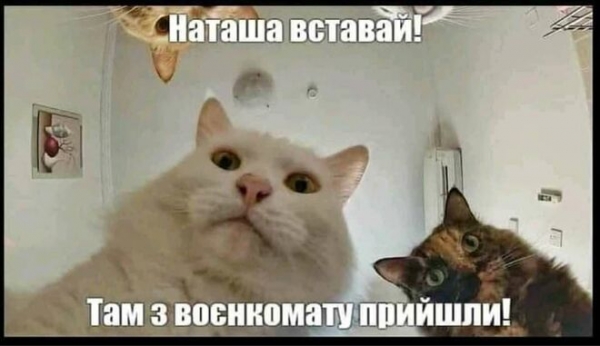 
                                                                        "Приведи жену – получи отсрочку". Лучшие мемы о воинском учете для украинских женщин
                                                                                                                                                                                                                    