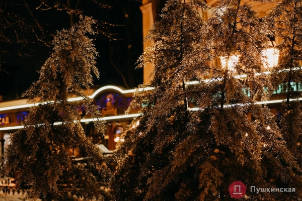 Глазурованный город: пугающая красота обледеневшей Одессы. Фоторепортаж