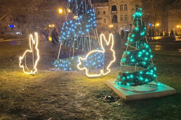 Новогодний лес и огромный подарок: праздничные фотозоны в центре Одессы 