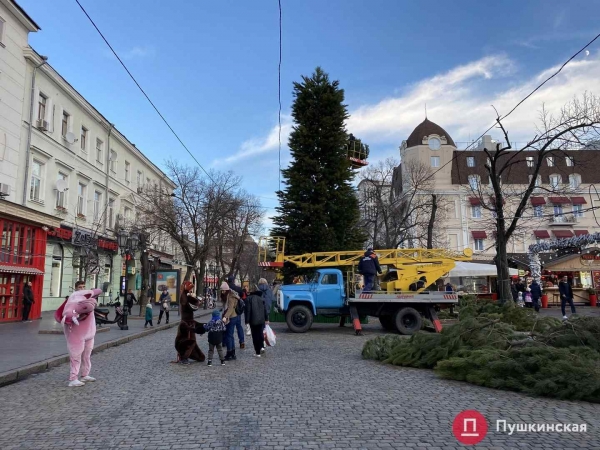 На Дерибасовской устанавливают елку: как это происходит. Фото