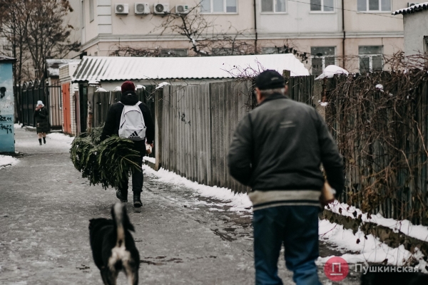 Глазурованный город: пугающая красота обледеневшей Одессы. Фоторепортаж
