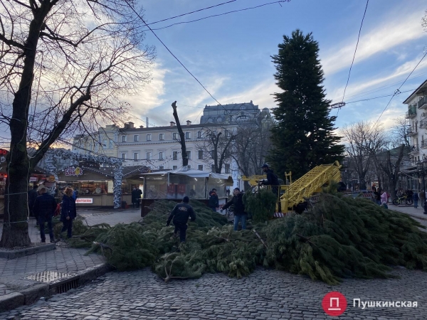 На Дерибасовской устанавливают елку: как это происходит. Фото
