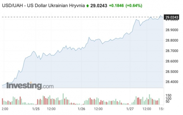 Курс гривны впервые с февраля 2015-го  прошел отметку в 29 грн/1$