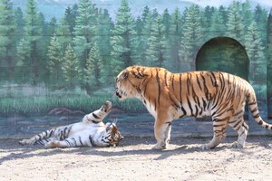 В Одесском зоопарке выбрали самую романтическую пару животных (фото)