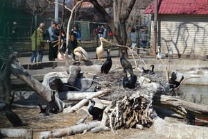 В Одессе с аншлагом и оркестром открылся зоопарк 