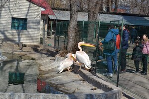 В Одессе с аншлагом и оркестром открылся зоопарк 
