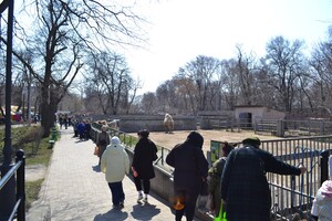 В Одессе с аншлагом и оркестром открылся зоопарк 