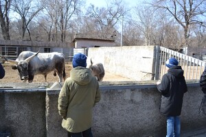 В Одессе с аншлагом и оркестром открылся зоопарк 