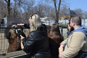 В Одессе с аншлагом и оркестром открылся зоопарк 