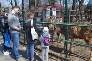 В Одессе с аншлагом и оркестром открылся зоопарк 