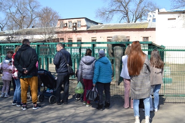 В Одессе с аншлагом и оркестром открылся зоопарк 