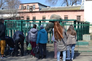 В Одессе с аншлагом и оркестром открылся зоопарк 