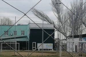 Вчера в Лузановке дерево сгорело изнутри из-за попавшего осколка