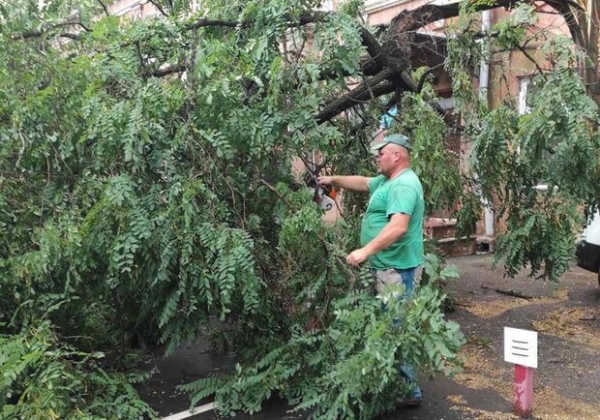 Последствия непогоды в Одессе: в городе упали восемь веток и деревьев 