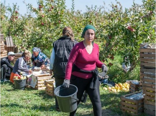 Частині українців доведеться платити за проживання у Польщі: хто зможе, як і раніше, не розщедрюватися
