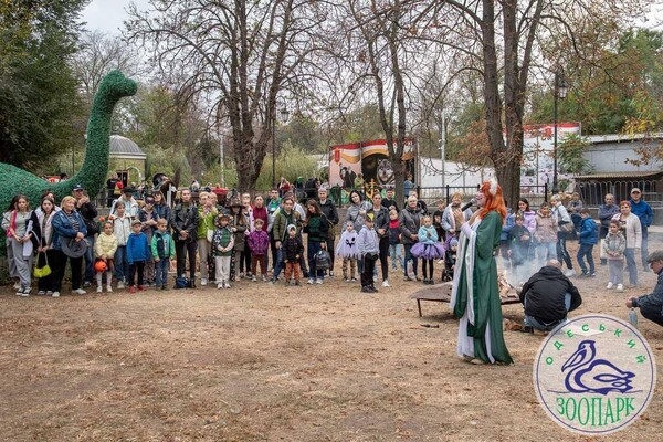 Тыквофест в зоопарке и шабаш в центре: как одесситы отметили Хэллоуин 