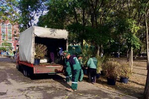 В Одессе преображают Старобазарный сквер