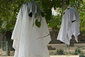 Тыквофест в зоопарке и шабаш в центре: как одесситы отметили Хэллоуин 