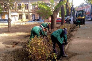 В Одессе преображают Старобазарный сквер