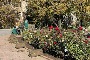 В Одессе преображают Старобазарный сквер