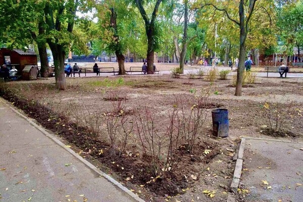 В Одессе преображают Старобазарный сквер