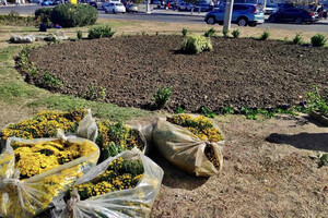 В Одессе преображают Старобазарный сквер