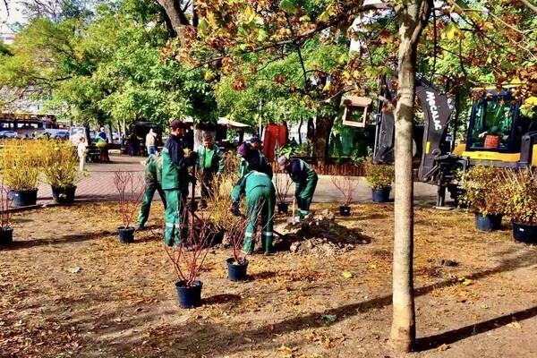 В Одессе преображают Старобазарный сквер