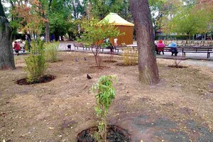 В Одессе преображают Старобазарный сквер