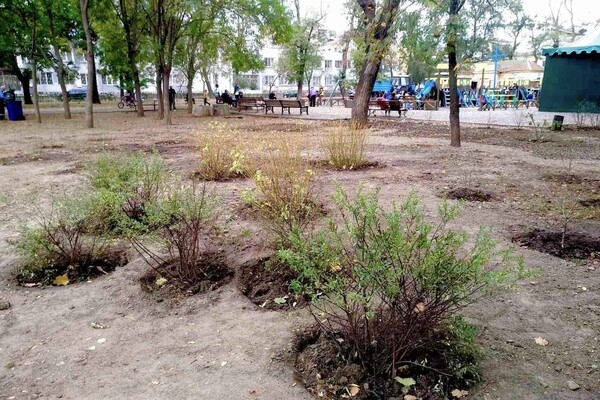 В Одессе преображают Старобазарный сквер
