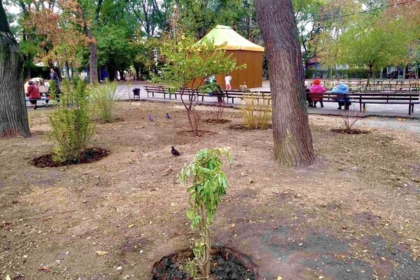 В Одессе преображают Старобазарный сквер