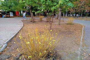 В Одессе преображают Старобазарный сквер