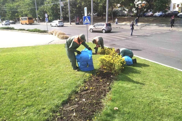 В Одессе преображают Старобазарный сквер