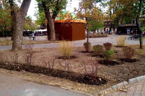 В Одессе преображают Старобазарный сквер