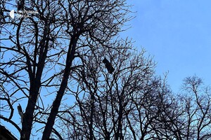 Подробности ночной атаки на Одессу: целых квартир в пострадавшем доме не осталось 