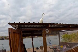 На берегах Днестра в Одесской области снесут рыбацкие постройки