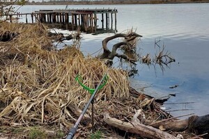 На берегах Днестра в Одесской области снесут рыбацкие постройки