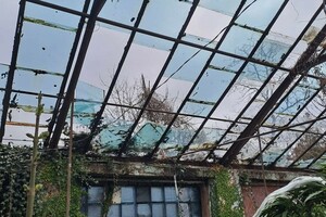 Во время последней ракетной атаки в Одессе пострадал Ботсад: как помочь