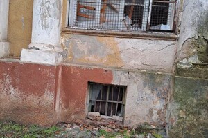 Во время последней ракетной атаки в Одессе пострадал Ботсад: как помочь