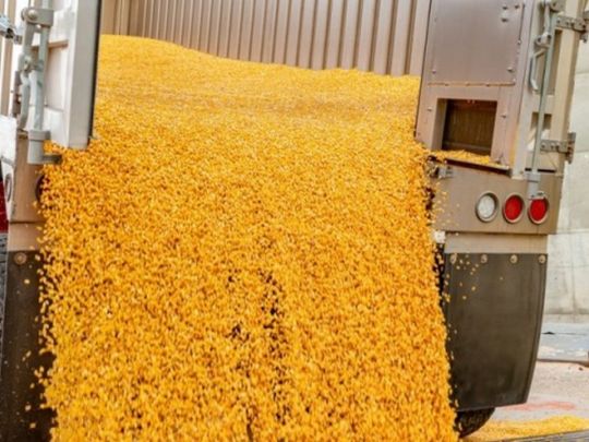 На розгляд Сейму: у Польщі готують тотальне ембарго на агропродукцію з України