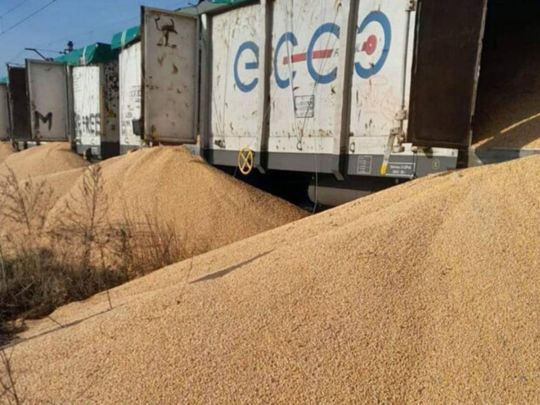 Земля покарає: стало відомо, як Польща поплатиться через розсипане українське зерно