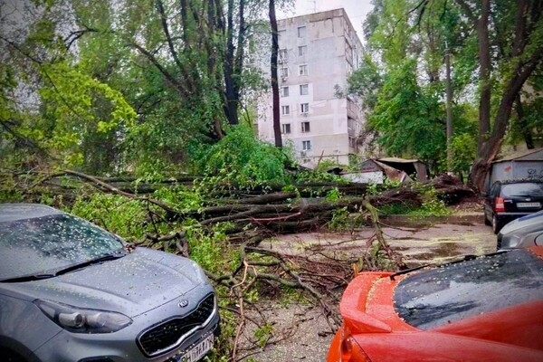Упали деревья и ветки, перекрывали движение транспорта на одной улице: последствия непогоды в Одессе (обновлено)