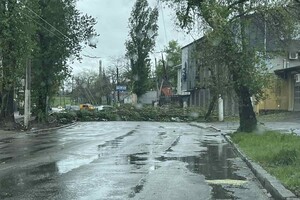 Упали деревья и ветки, перекрывали движение транспорта на одной улице: последствия непогоды в Одессе (обновлено)