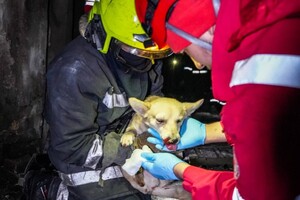 Из-за атаки "шахедов" ночью в Одессе пострадали девять человек и 14 квартир (фото, видео)