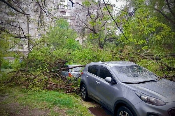 Упали деревья и ветки, перекрывали движение транспорта на одной улице: последствия непогоды в Одессе (обновлено)