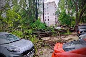 Упали деревья и ветки, перекрывали движение транспорта на одной улице: последствия непогоды в Одессе (обновлено)